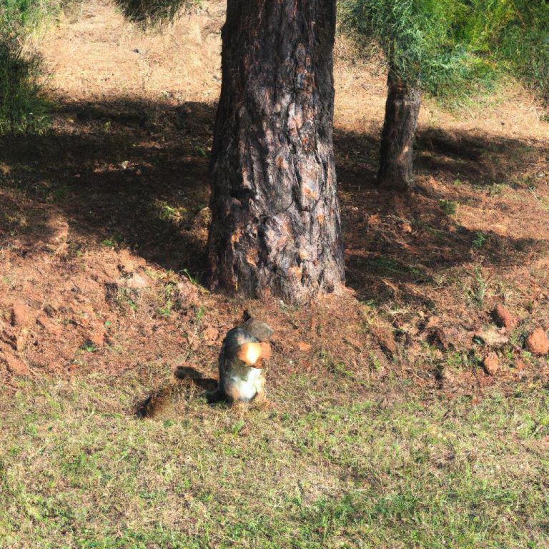 Ruyada Bir Suru Civciv Gormek