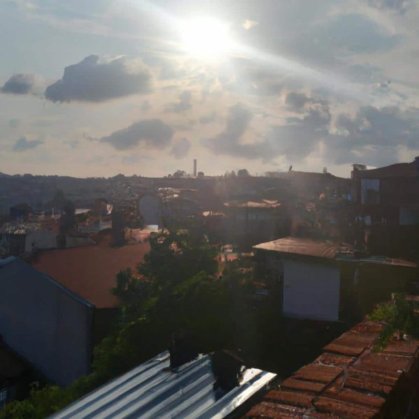 Ruyada Bir Suru Fare Gormek