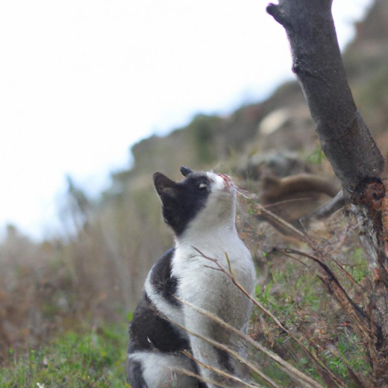Ruyada Bir Suru Yilan Gormek
