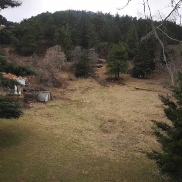 Ruyada Bir Yere Gec Kalmak