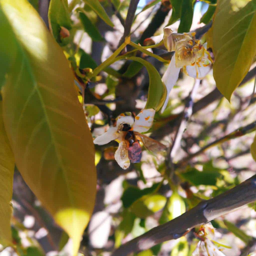 Ruyada Bir Yerin Yikildigini Gormek