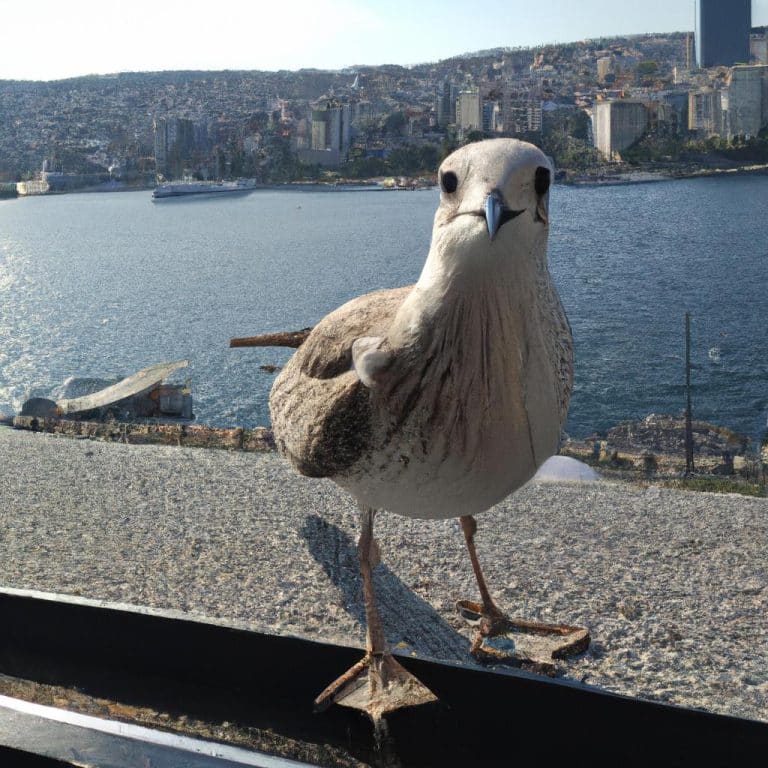 Ruyada Birden Fazla Yilan Gormek