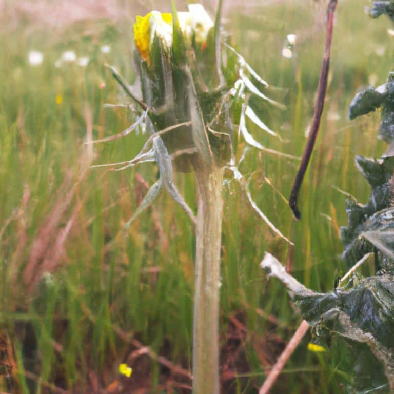Ruyada Birilerinden Kacmak Saklanmak