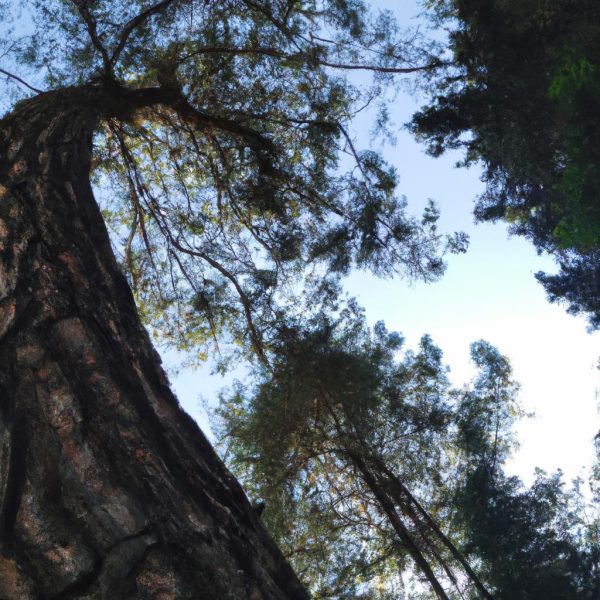 Ruyada Birinden Kagit Para Almak