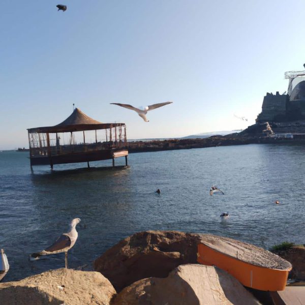 Ruyada Birinden Kan Aktigini Gormek