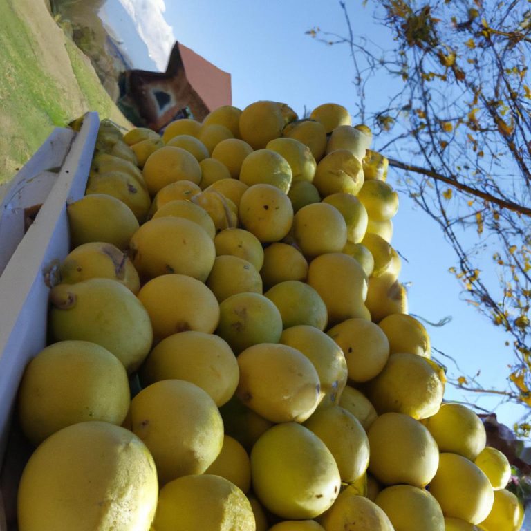 Ruyada Birine Sarilmak