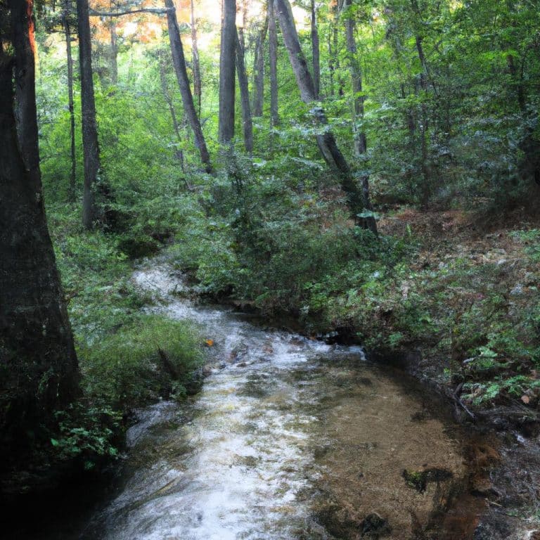 Ruyada Birine Su Vermek