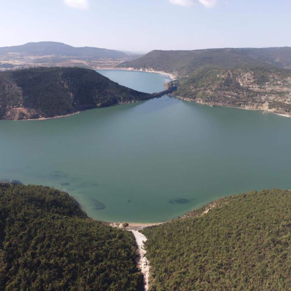 Ruyada Birini Bogmak