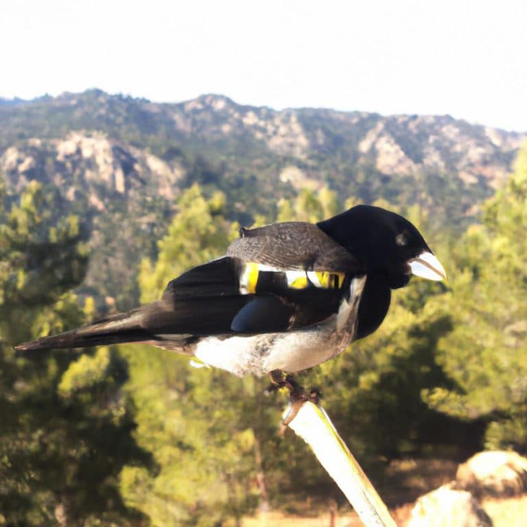 Ruyada Birini Dovmek