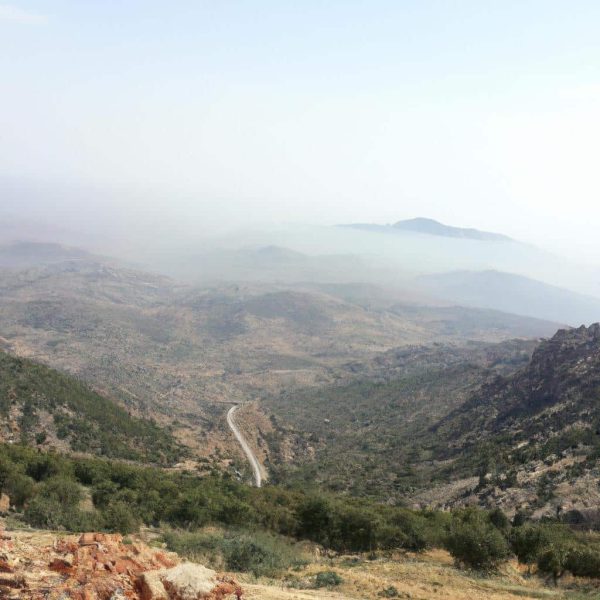 Ruyada Birini Gormek