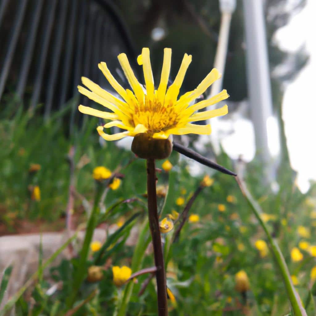 Ruyada Birini Oldurmek Ve Saklamak