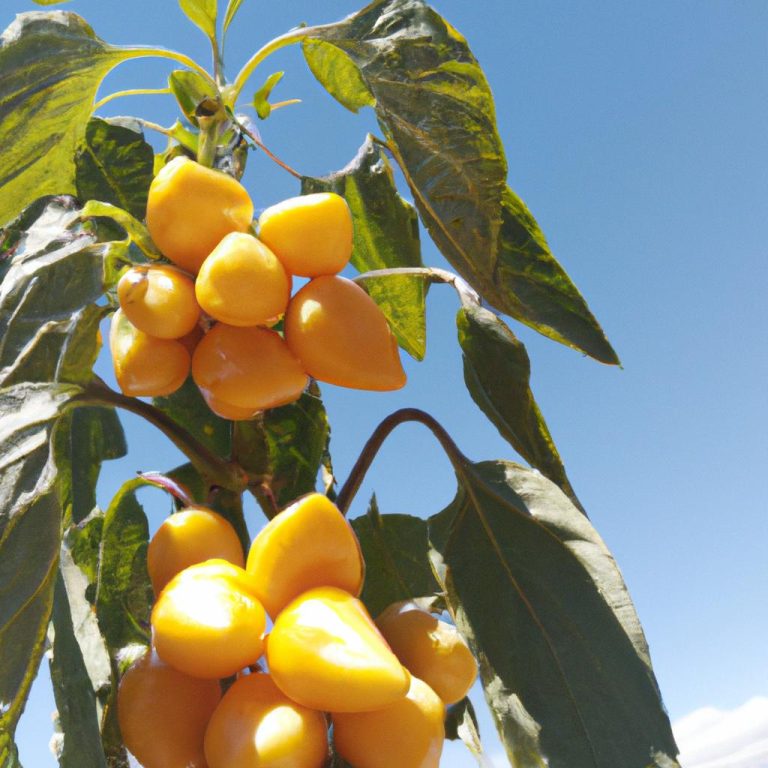 Ruyada Birinin Agladigini Gormek