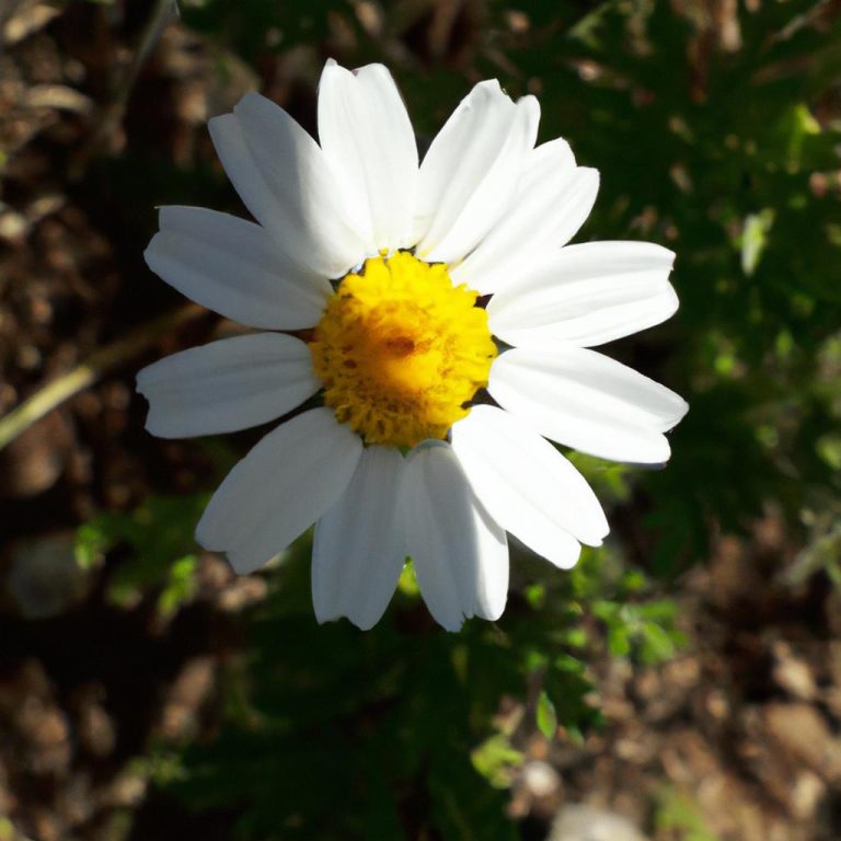 Ruyada Birinin Ameliyat Oldugunu Gormek