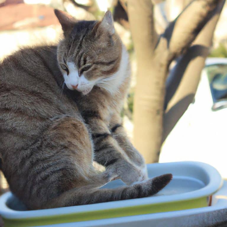 Ruyada Birinin Bayildigini Gormek