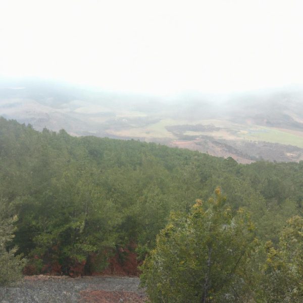 Ruyada Birinin Birini Oldurdugunu Gormek