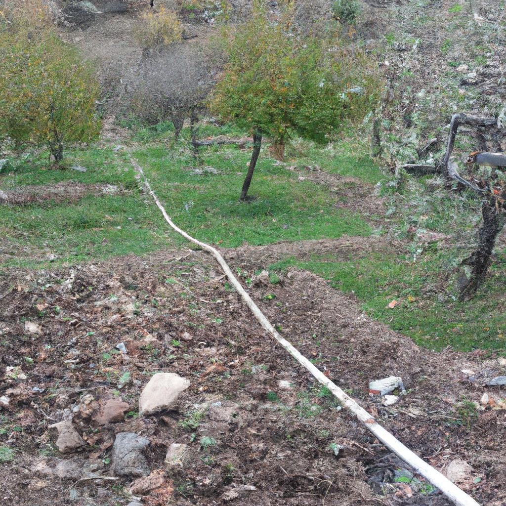 Ruyada Birinin Bosandigini Gormek