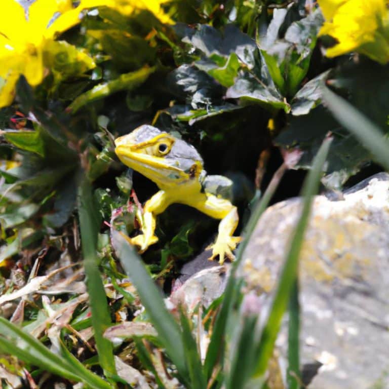 Ruyada Birinin Dogum Yaptigini Gormek