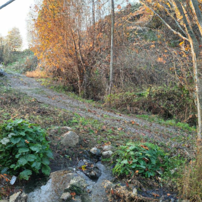 Ruyada Birinin Hamile Oldugunu Ogrenmek