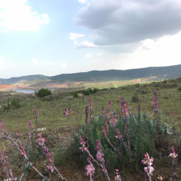 Ruyada Birinin Kacirildigini Gormek