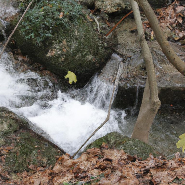 Ruyada Birinin Kovalamasi