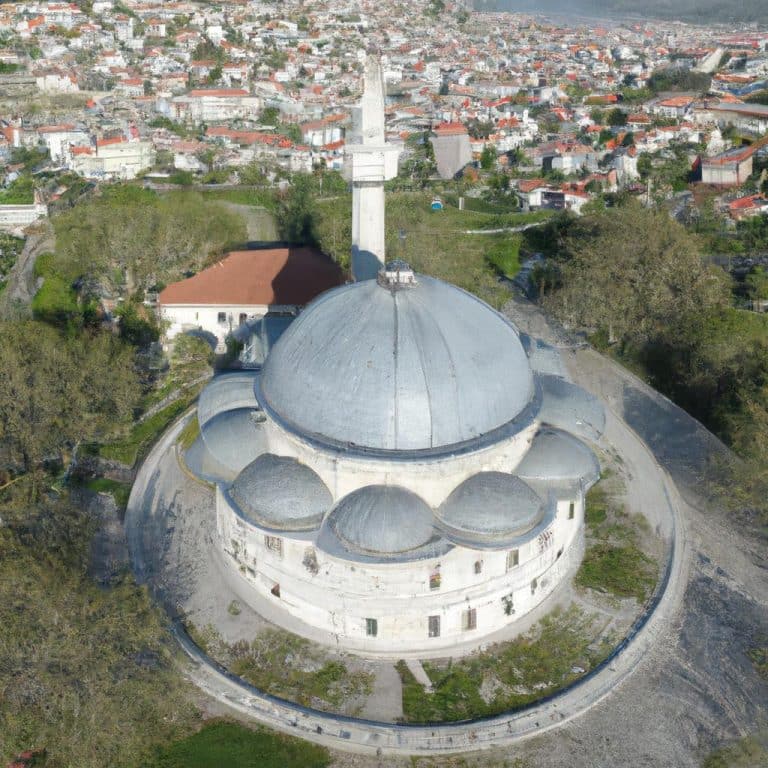 Ruyada Birinin Kustugunu Gormek Diyanet