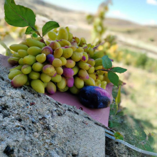 Ruyada Birinin Sana Para Vermesi