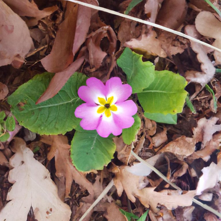 Ruyada Birinin Seni Isirdigini Gormek