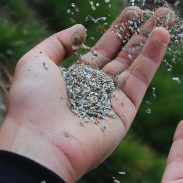 Ruyada Birinin Yuzuk Verdigini Gormek