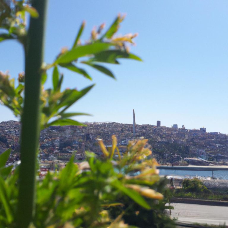 Ruyada Birinin Yuzune Tukurmek