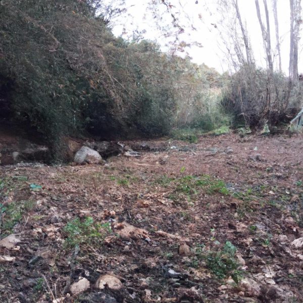 Ruyada Biriyle Birlikte Olmak