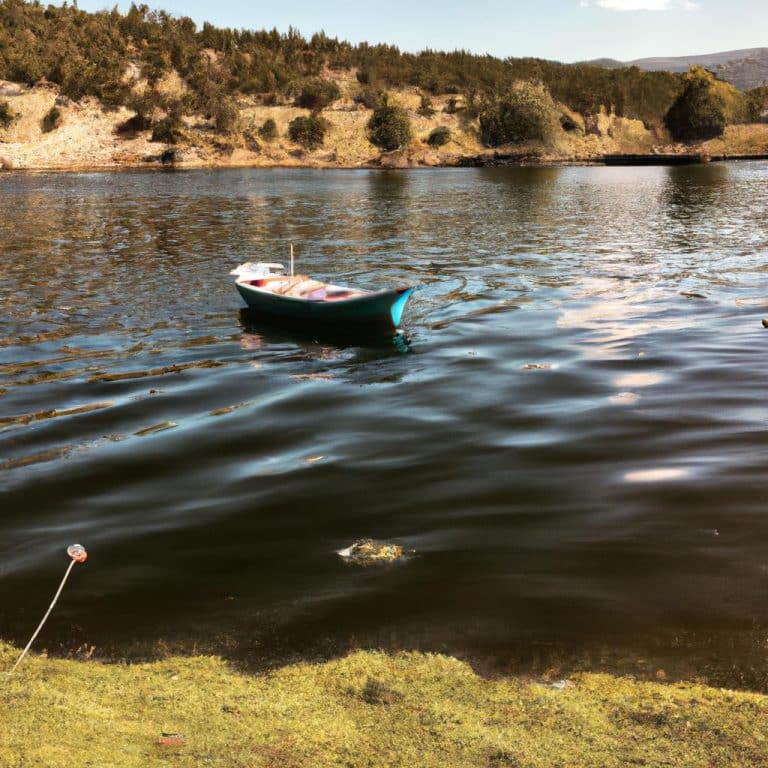 Ruyada Biriyle Tanismak