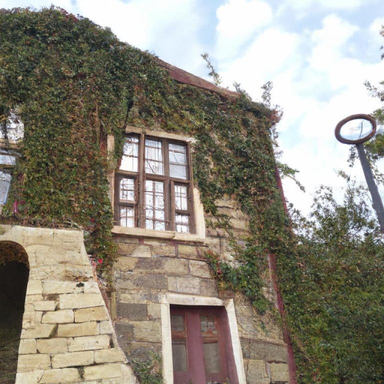 Ruyada Birnin Oldugunu Gormek