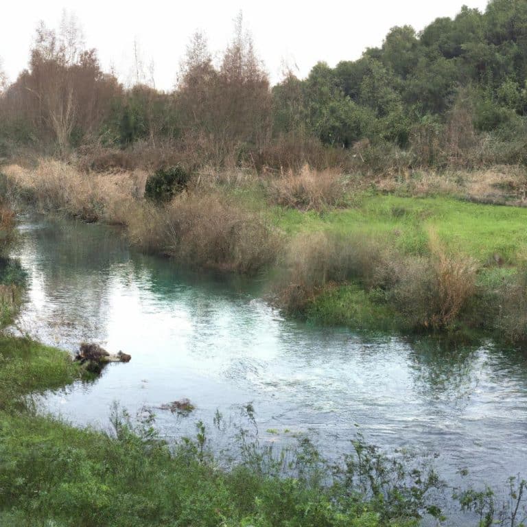 Ruyada Birsey Calmak