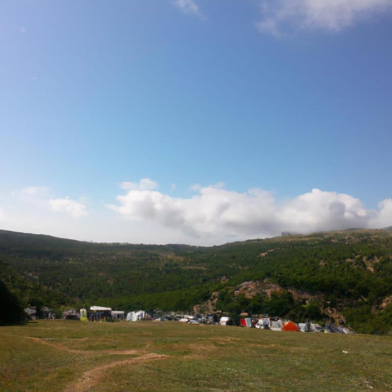 Ruyada Bit Ayiklamak