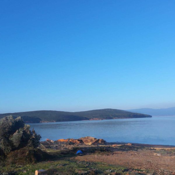 Ruyada Bit Gormek Sacta