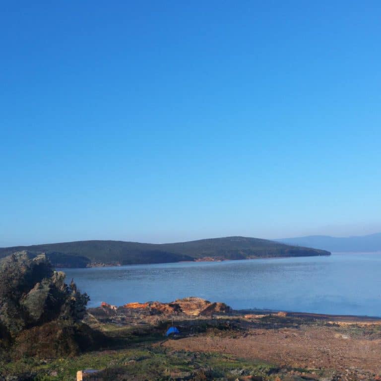 Ruyada Bit Gormek Sacta