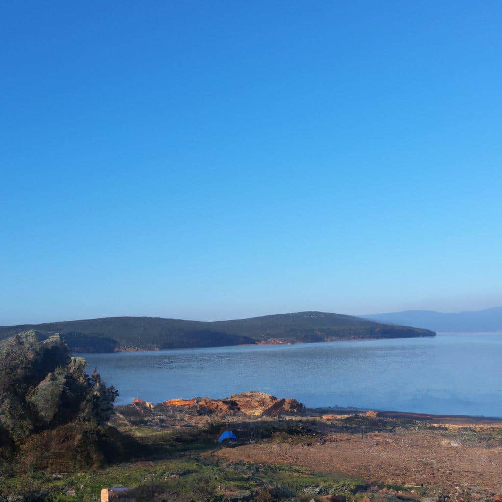 Ruyada Bit Gormek Sacta