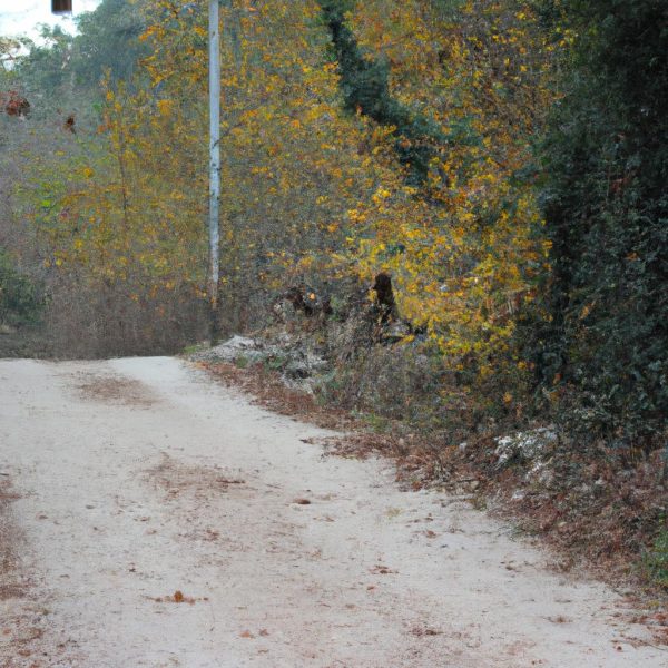 Ruyada Bitlendigini Gormek