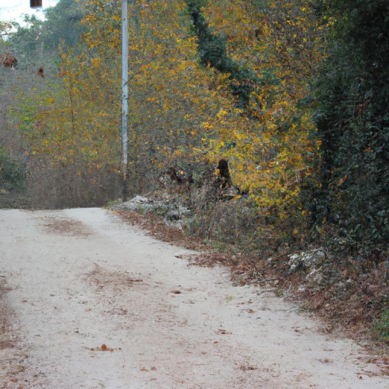 Ruyada Bitlendigini Gormek