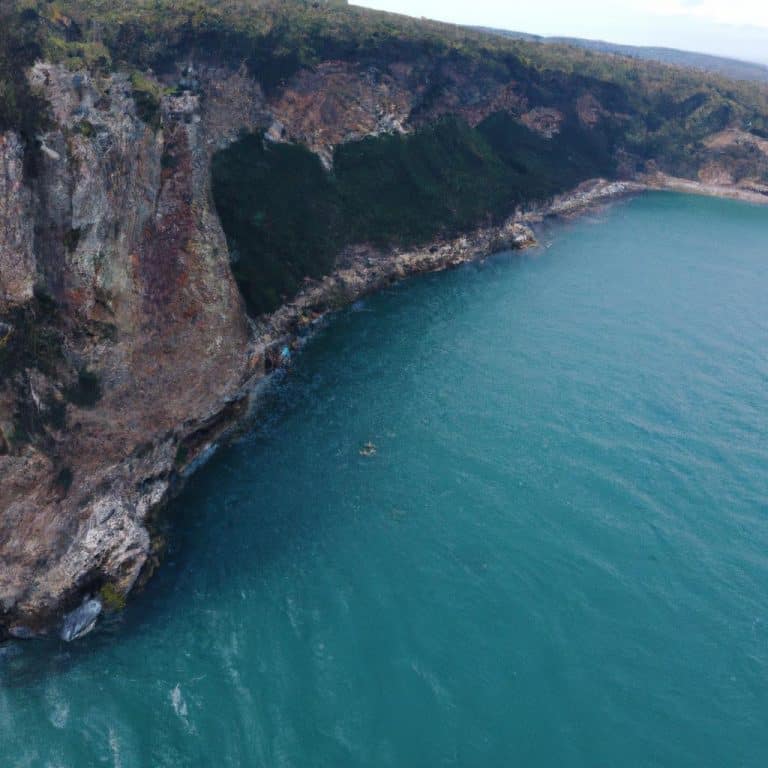 Ruyada Boga Kovalamasi