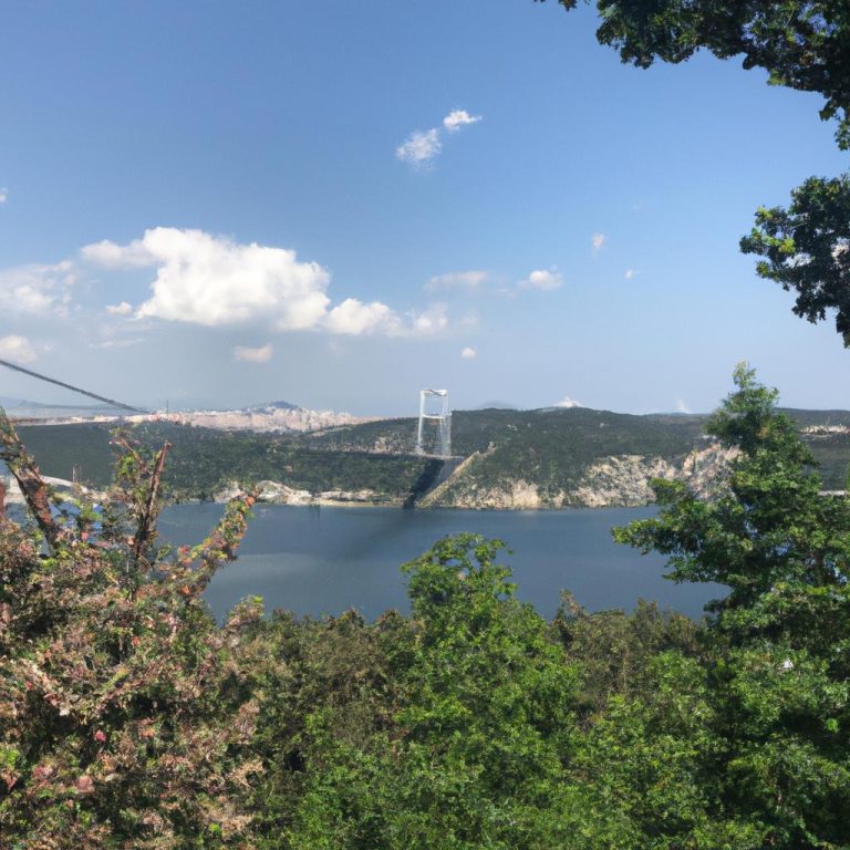 Ruyada Boga Yilani Gormek