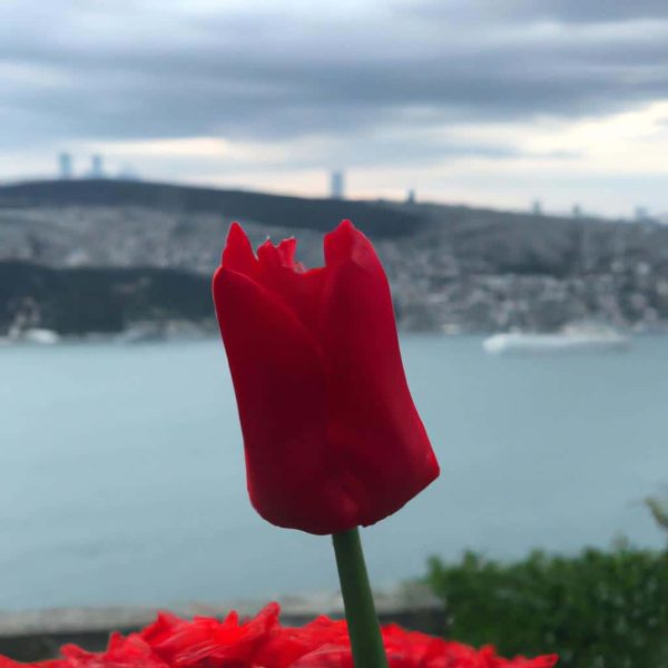 Ruyada Bogulmaktan Kurtulmak