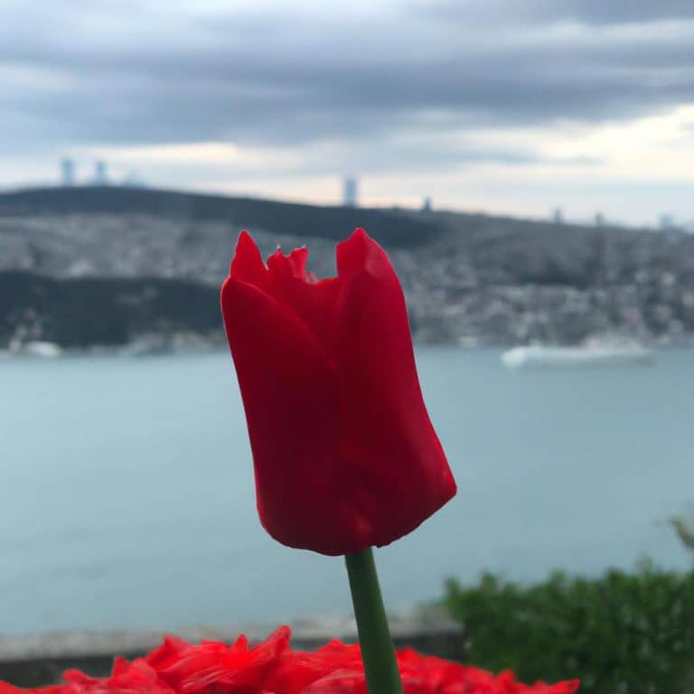 Ruyada Bogulmaktan Kurtulmak