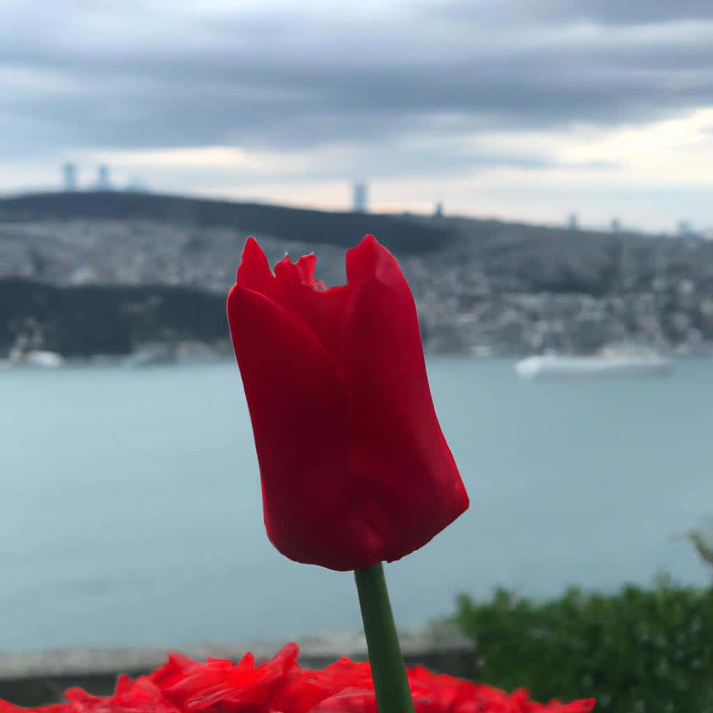 Ruyada Bogulmaktan Kurtulmak