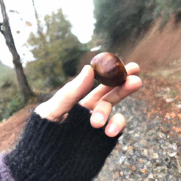 Ruyada Bos Tencere Gormek