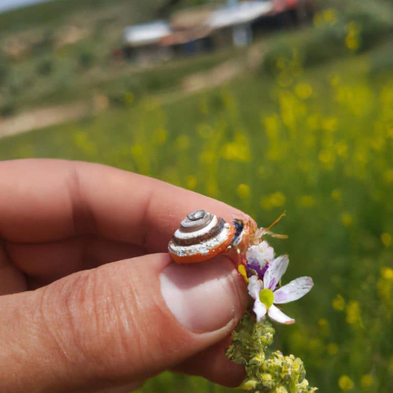Ruyada Bosandigini Gormek