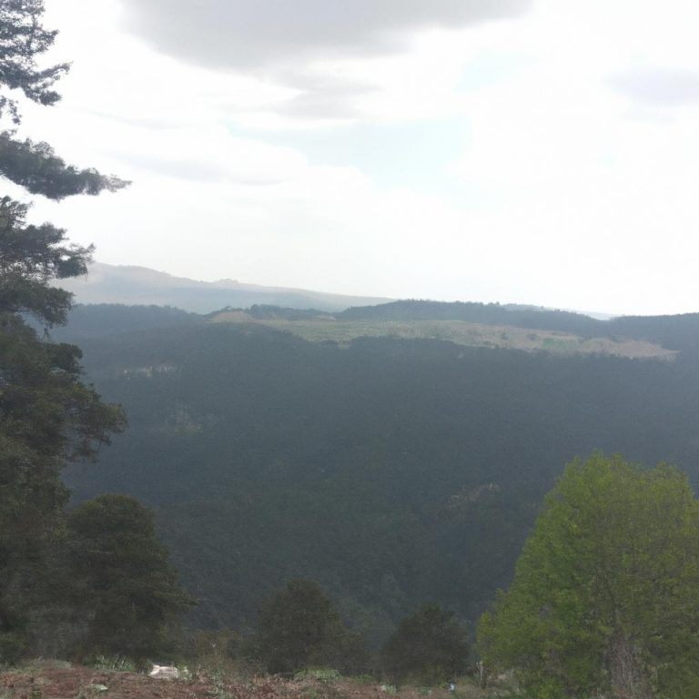 Ruyada Bosanma Karari Almak