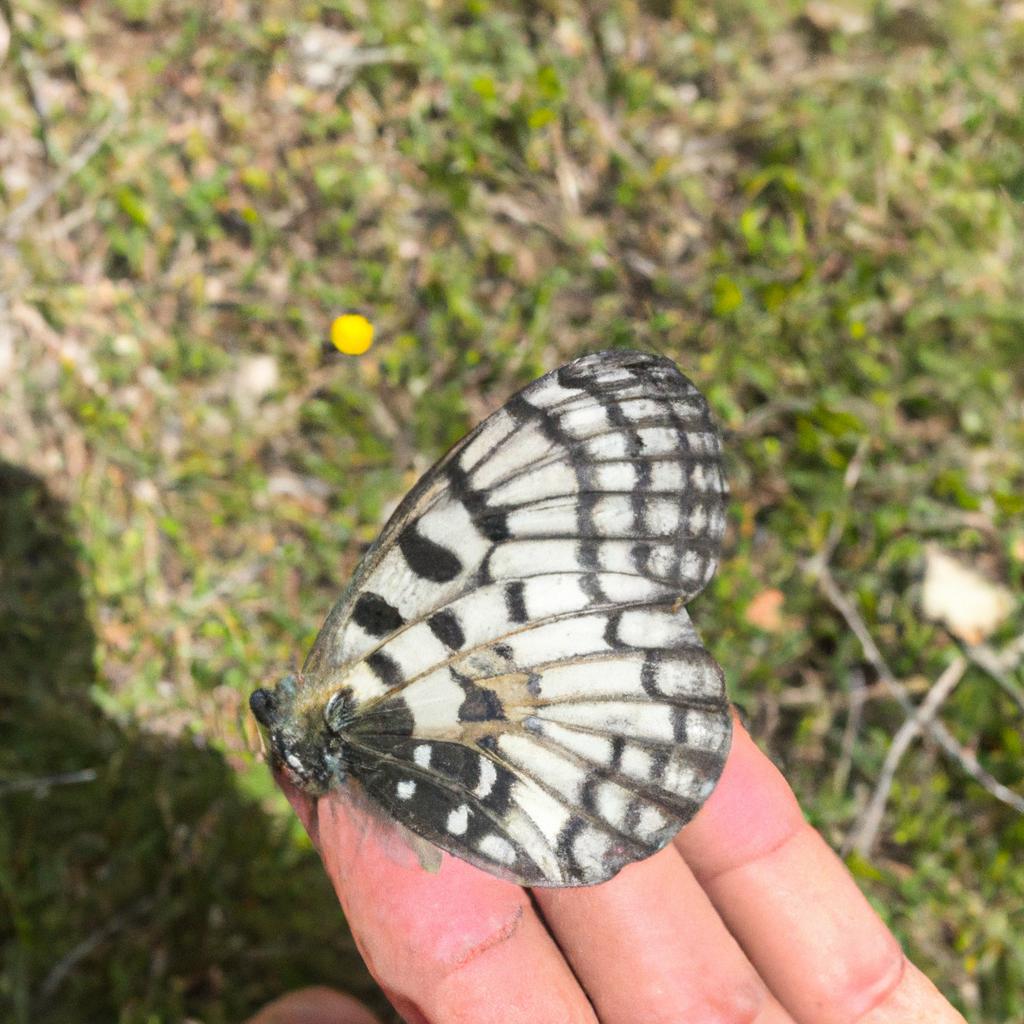 Ruyada Bosluga Dusmek