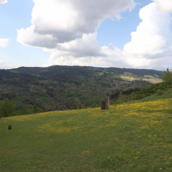 Ruyada Boz Yilan Gormek