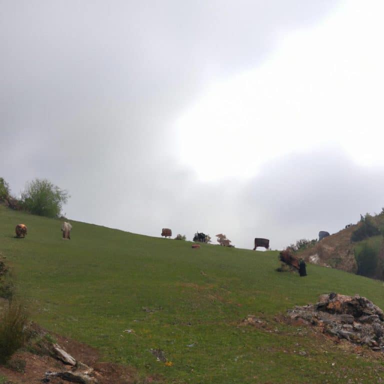 Ruyada Bozuk Para Bulmak